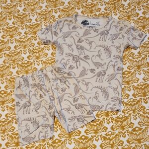 Copper Pearl Jurassic Park Dinosaur Print Kids Pajamas